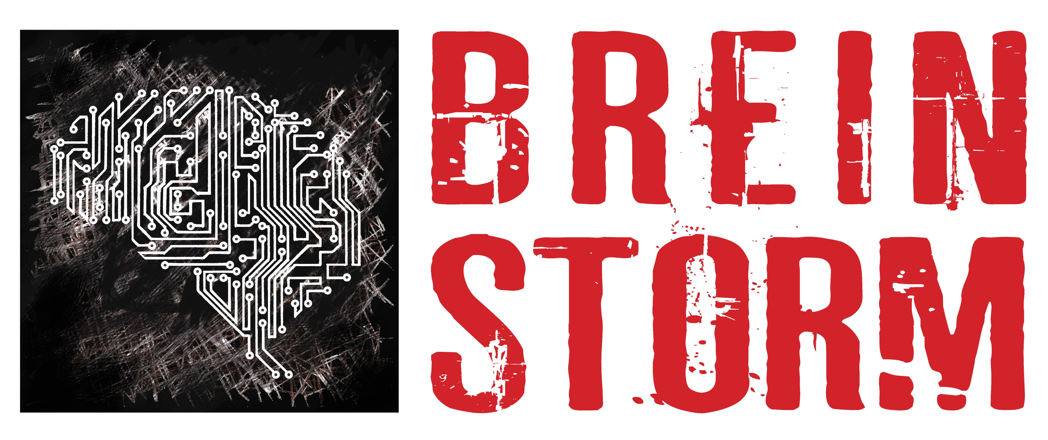 Logo Fonds Brein Storm