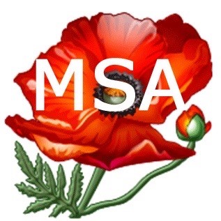 logo MSA